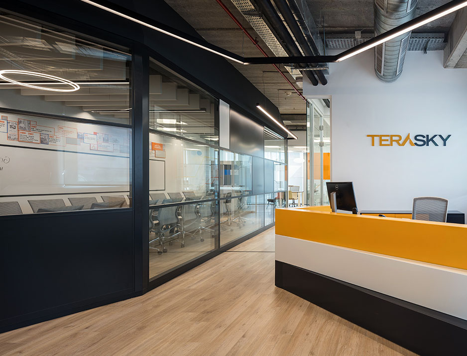 Terasky Logo Design 5